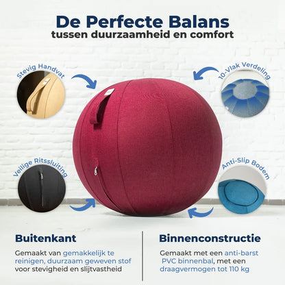 Ergonomische Zitbal Kantoor