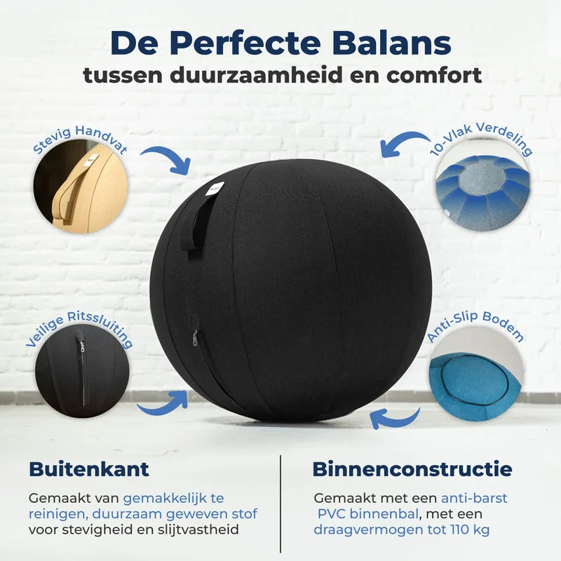 Ergonomische Zitbal Kantoor