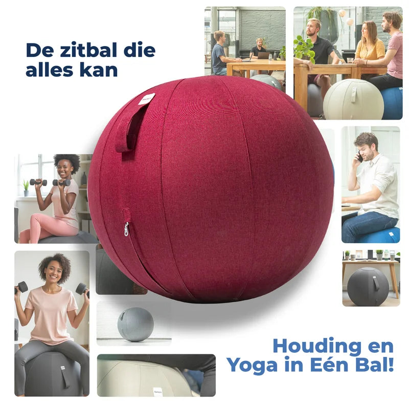 Ergonomische Zitbal Kantoor