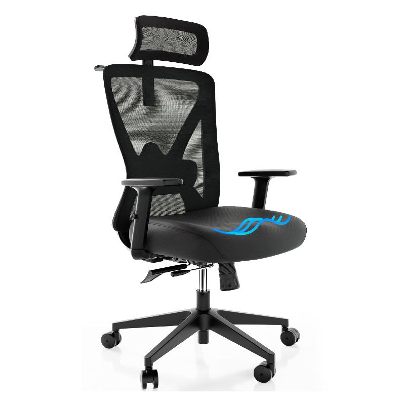Backerz Ergonomic Office Chair
